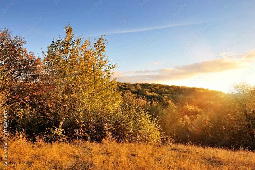 Autumn landscape with colorful trees. Sunset. Autumn time Autumn landscape with colorful trees. Sunset. Autumn time