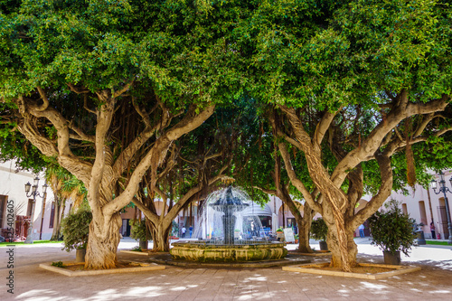 Fontane unter big trees at Marsala, Sicily