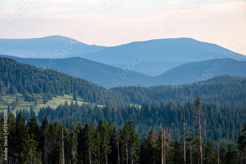 View to the carpathian mountains from forest