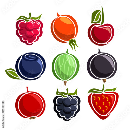 Vector Set colorful Berries icons: raspberry, rosehip, cherry, blueberry, gooseberry, blackcurrant, redcurrant, blackberry, strawberry; set of abstract simple berry logo or icon, isolated on white.