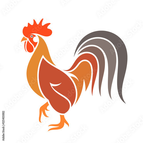 Abstract  rooster. Colorful bird on white background