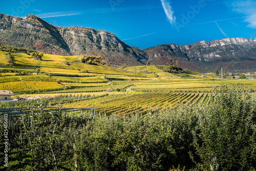 Herbstpanorama zum Mendelpass