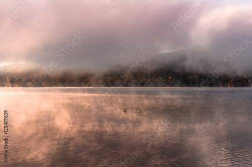 Autumn landscape. Two swans on a alpine mountain lake early morning. Romantic sunrise and mysterious fog in Alps Austria 