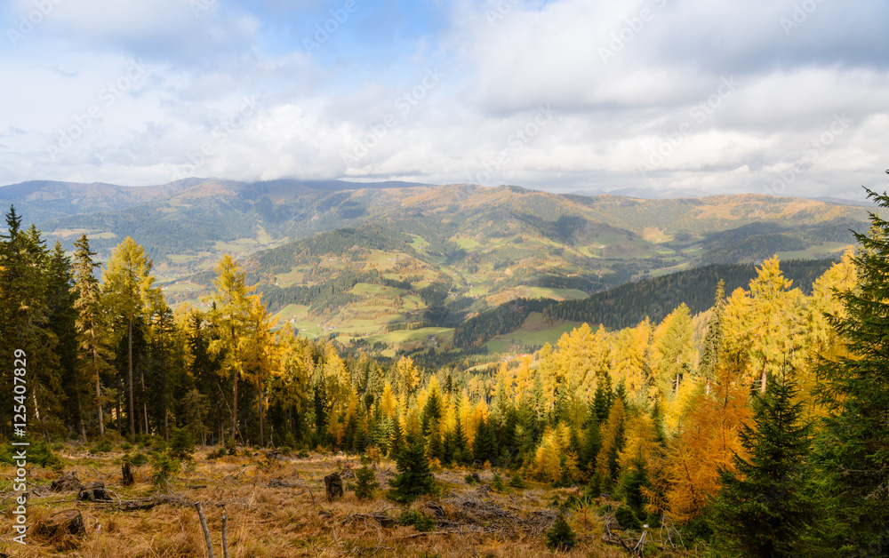 Amazing autumn landscape in mountains Alps Austria. Colourful fall and foliage in Europe forest 