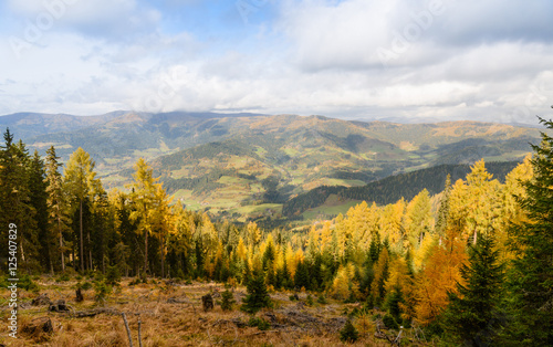 Amazing autumn landscape in mountains Alps Austria. Colourful fall and foliage in Europe forest © Olesya