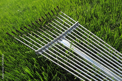 Adjustable steel fan rake for leaves and grass lying on the fresh mown lawn grass in the summer garden