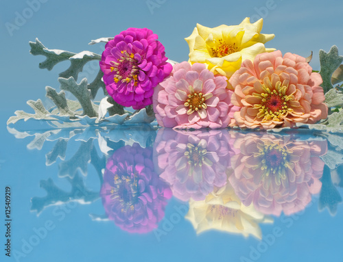 Fototapeta Naklejka Na Ścianę i Meble -  colorful flowers with reflection against blue sky