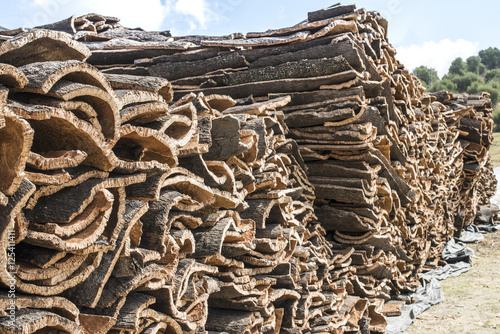 Pile of bark from cork photo