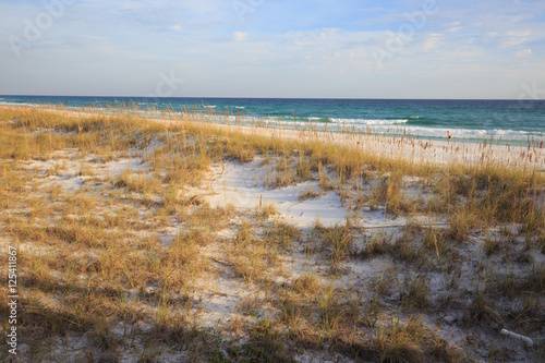 Henderson State Park beach  Florida