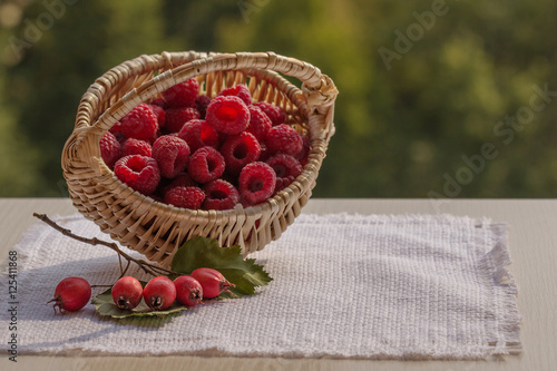 Fototapeta Naklejka Na Ścianę i Meble -  Large ripe raspberry high quality. Raspberry in a basket on the windowsill. Basket on a white napkin. The fruits of hawthorn. Scattered raspberries. Late variety.