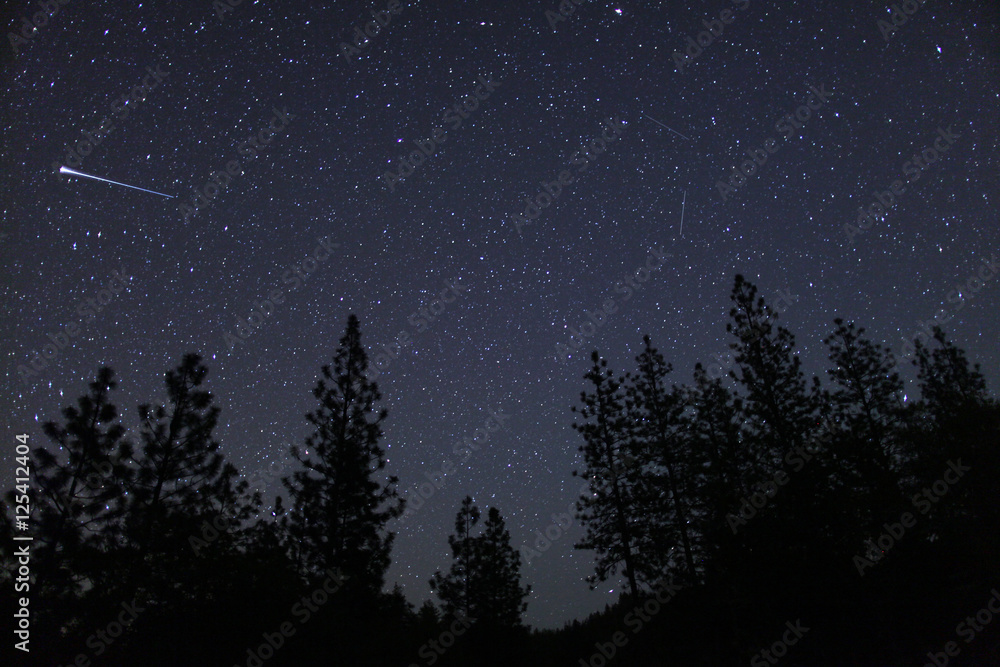 Eta Aquariids meteors streak across the night sky behind the tre
