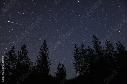 Obraz na plátne Eta Aquariids meteors streak across the night sky behind the tre