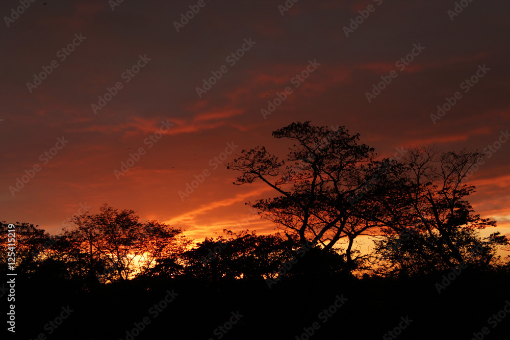 Sunset Sunset