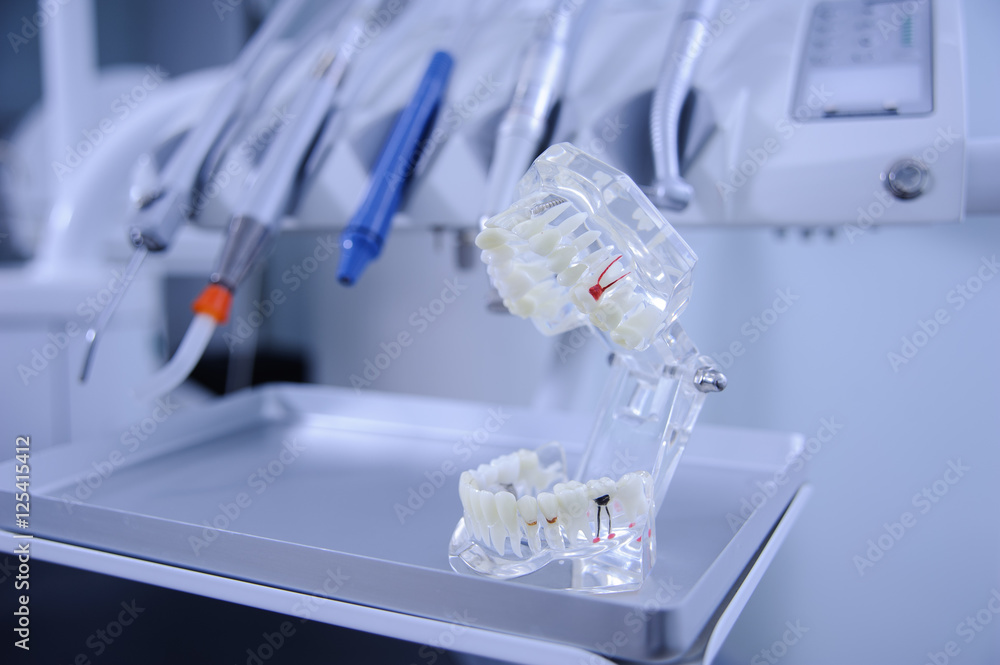 Model of dental jaw on background of modern dental tools Model of dental jaw on background of modern dental tools