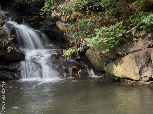 Fototapeta Naklejka Na Ścianę i Meble -  North Woods Waterfall