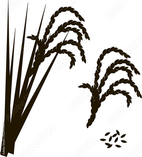 Black and white outline of rice, vector illustration