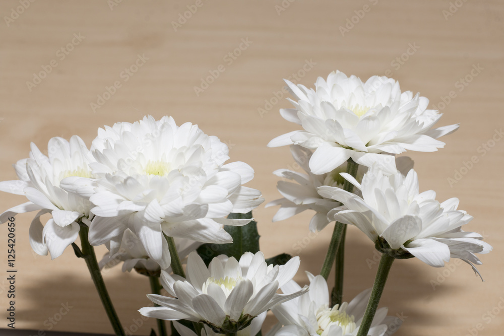 group of white flower on wooden desk,white flower have green leaf,green leaf make oxygen,copy space group of white flower on wooden desk,white flower have green leaf,green leaf make oxygen,copy space