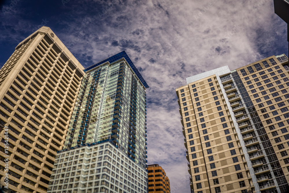 Fototapeta premium Look Up, Seattle