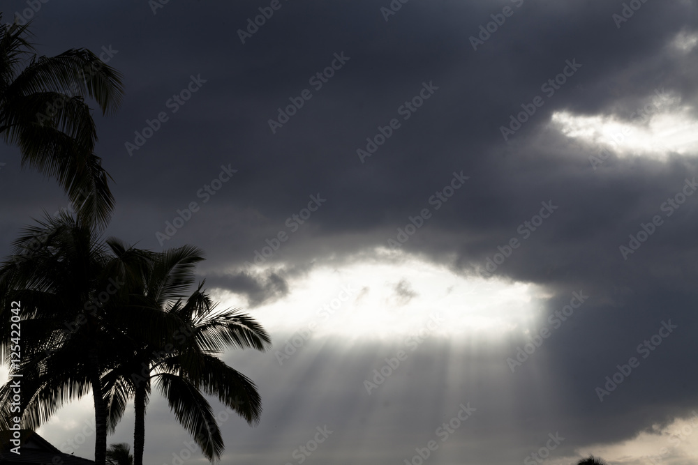 Fototapeta premium Light Rays Streaming Down From Storm Clouds With Palm Trees