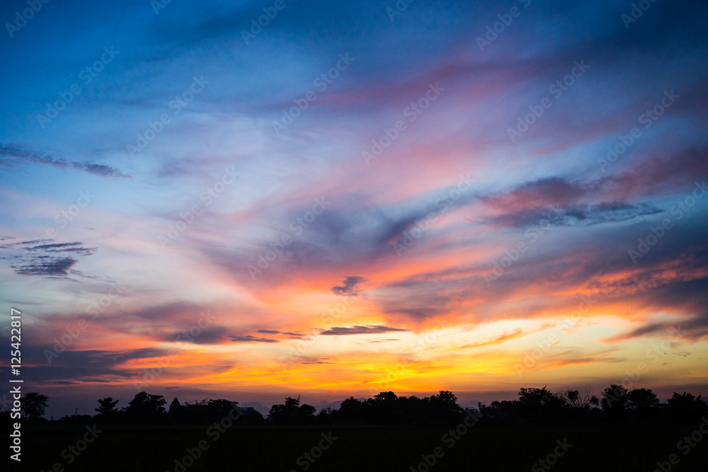 beautiful sunset with siluate tree and red cloud beautiful sunset with siluate tree and red cloud