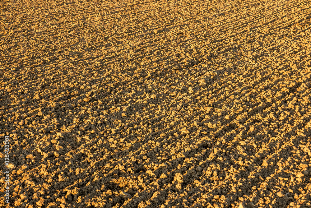 Agrarlandschaft im Herbst Agrarlandschaft im Herbst