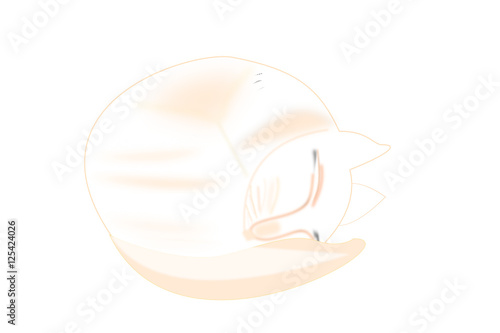Gato durmiendo hecho una rosca.