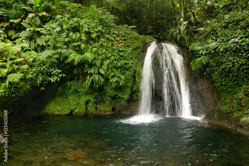 Fototapeta Naklejka Na Ścianę i Meble -  Beautiful waterfall in a rainforest. Cascades aux Ecrevisses, Guadeloupe, Caribbean Islands, France