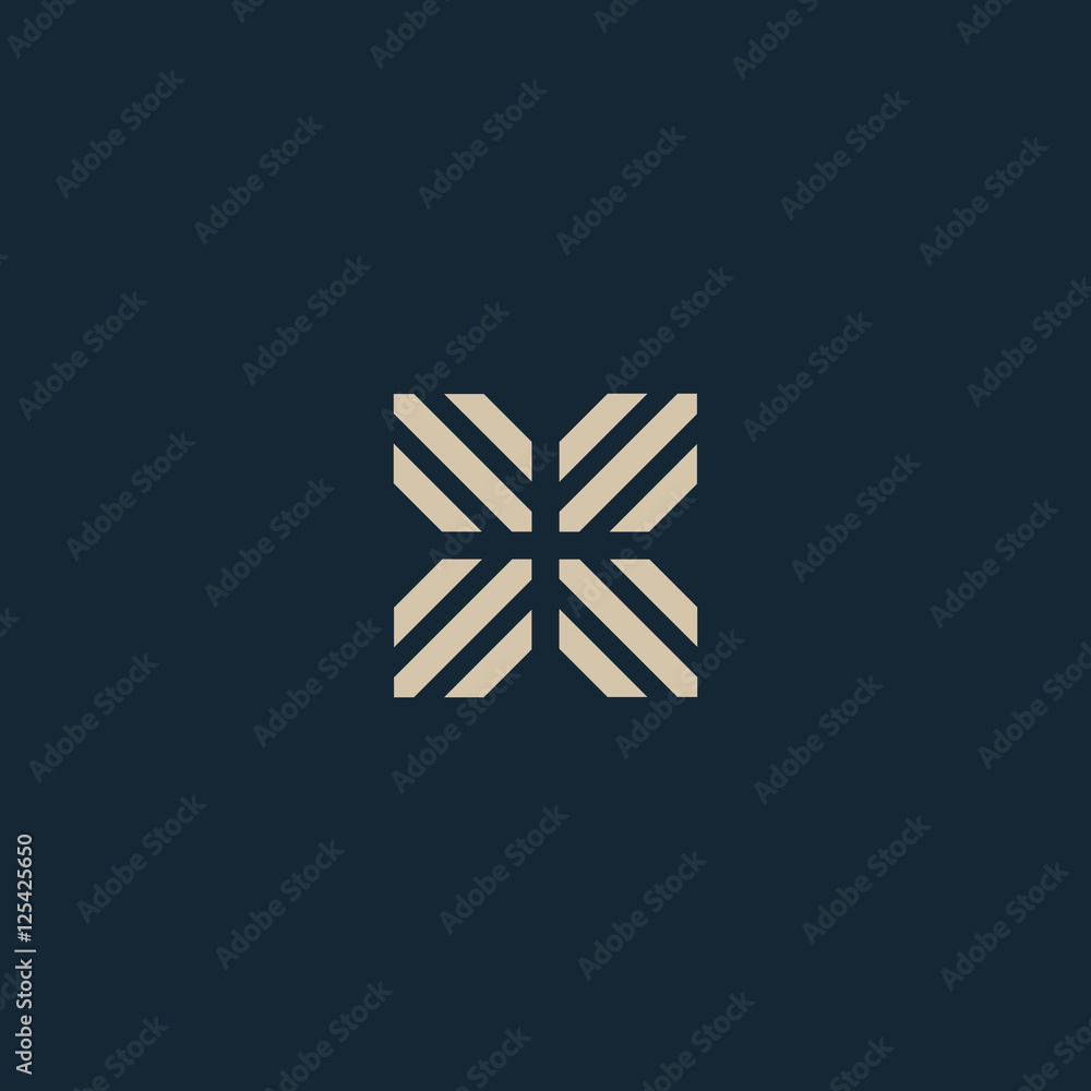 Unusual geometric letter X. Architecture vector logo. Isolated monogram.