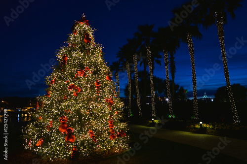 Christmas Tree at Night with White LIghts, Red Bows and Palm Trees