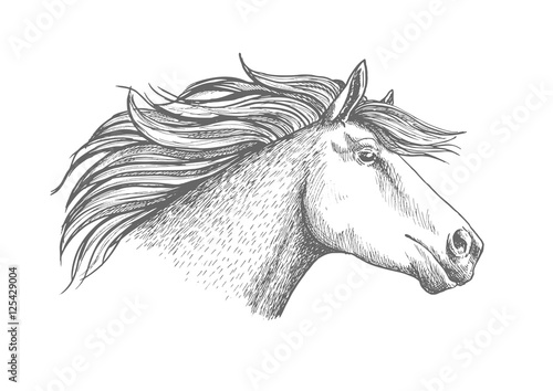 Horse head sketch sport emblem