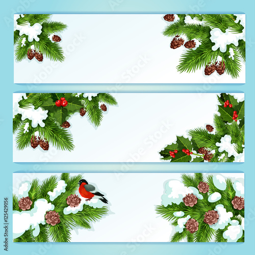 Christmas banner with holly berry and fir branches