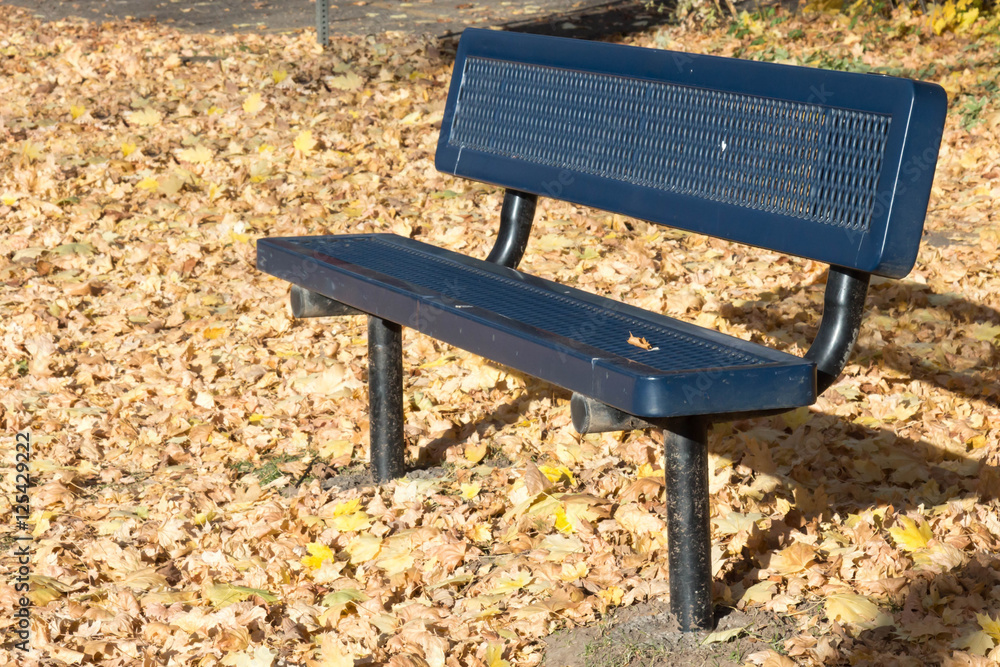 Empty metal bench in thick autumn oak leaves