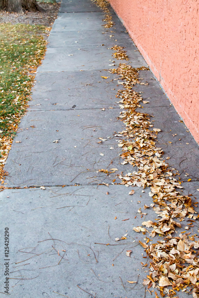 Obraz premium Concrete sidewalk next to a stucco wall with fallen leaves