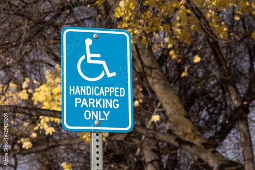 Blue handicapped parking only sign against yellow autumn tree