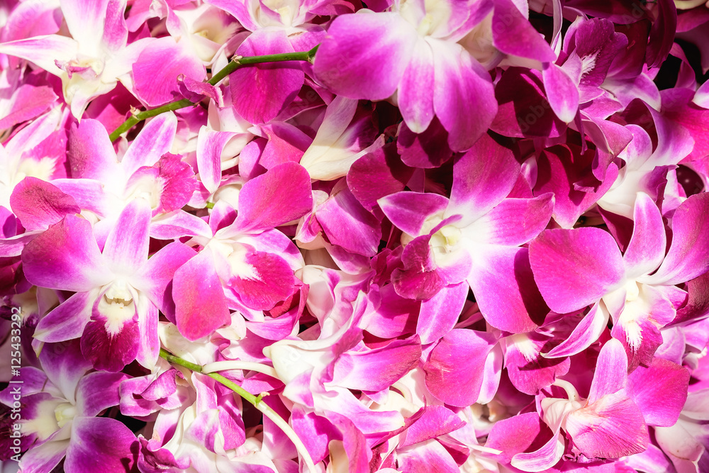 Flowers lined colorful stacked Flowers lined colorful stacked