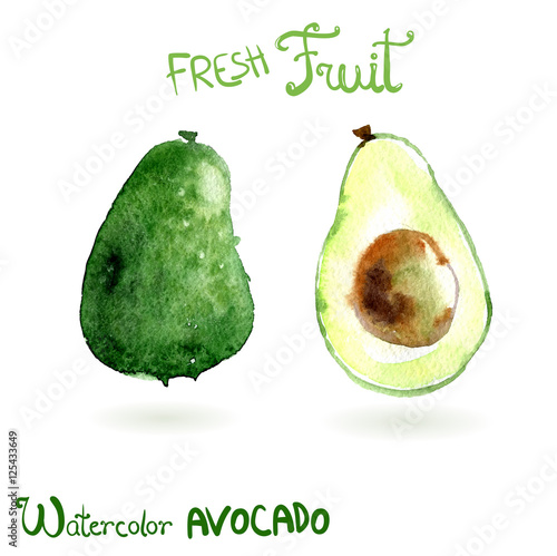 Bright vector watercolor hand drawn fruit avocado