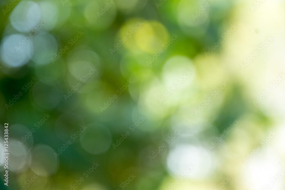 abstract green nature background