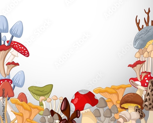 different kinds of mushrooms on white background