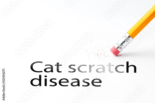 Closeup of pencil eraser and black ,at scratch disease text. Cat scratch disease. Pencil with eraser. photo