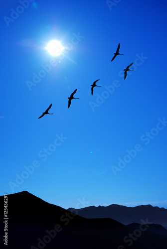 Flying birds over mountain landscape with blue sky