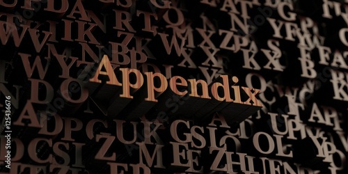 Appendix - Wooden 3D rendered letters/message. Can be used for an online banner ad or a print postcard.