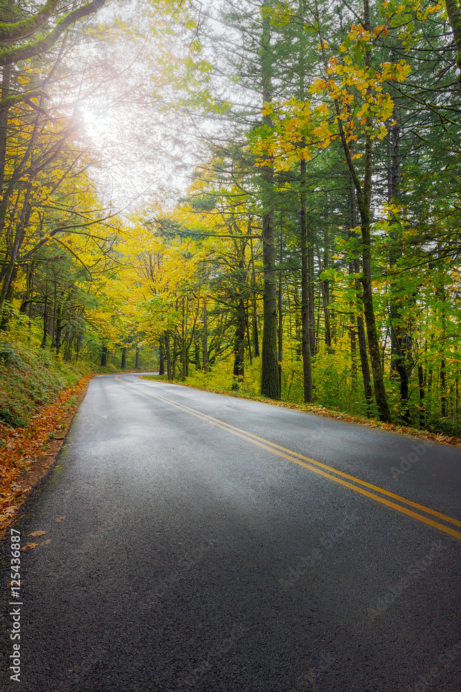 Historic Columbia River Highway in Fall Historic Columbia River Highway in Fall