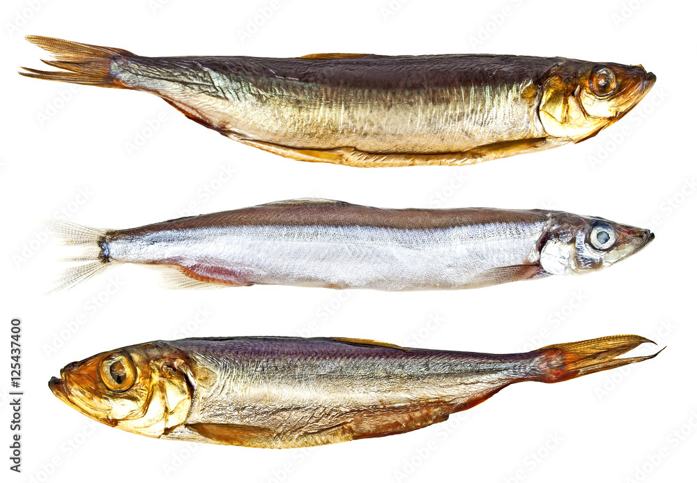 Set of different fishes isolated on a white background Set of different fishes isolated on a white background