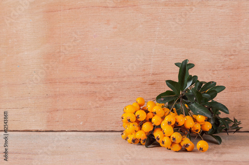 Pyracantha isolated on wood background