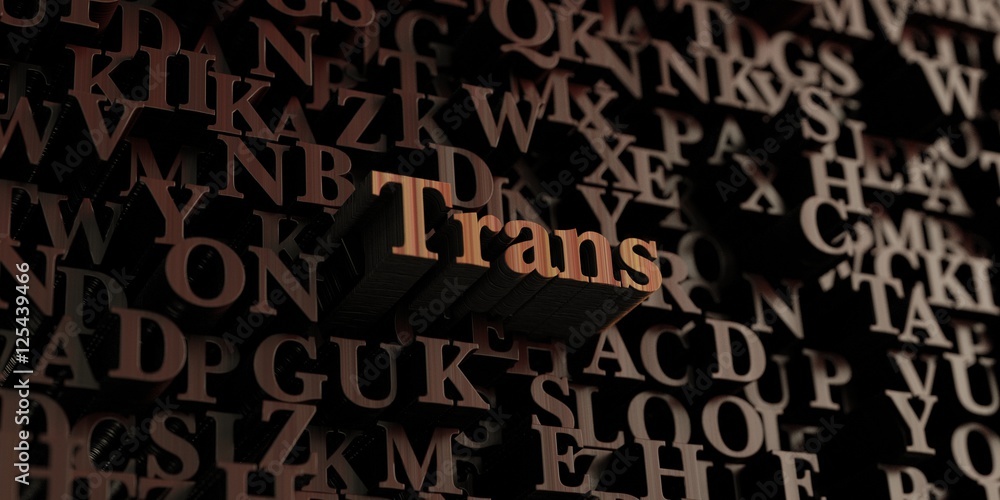 Trans - Wooden 3D rendered letters/message. Can be used for an online banner ad or a print postcard. Trans - Wooden 3D rendered letters/message. Can be used for an online banner ad or a print postcard.