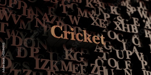 Cricket - Wooden 3D rendered letters/message.  Can be used for an online banner ad or a print postcard.
