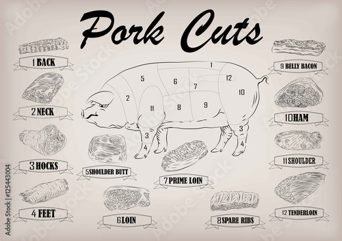 Pork pig side carcass cuts cut parts info graphics scheme sign 