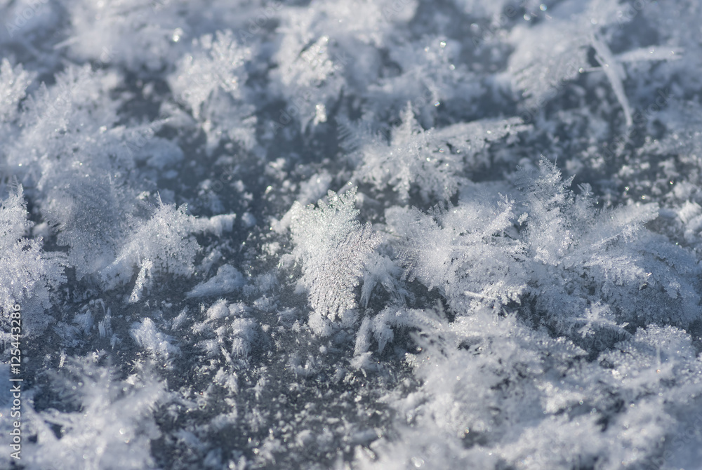 Winter hoarfrost, ice and snow, xmas background Winter hoarfrost, ice and snow, xmas background