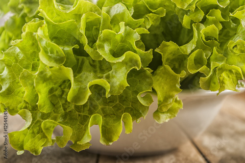 Fresh green Lettuce salad background