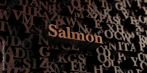 Salmon - Wooden 3D rendered letters/message. Can be used for an online banner ad or a print postcard.